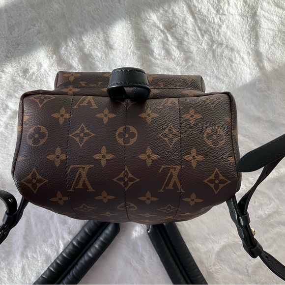 Louis Vuitton Palm Springs PM Monogram Backpack - Picture 5 of 14